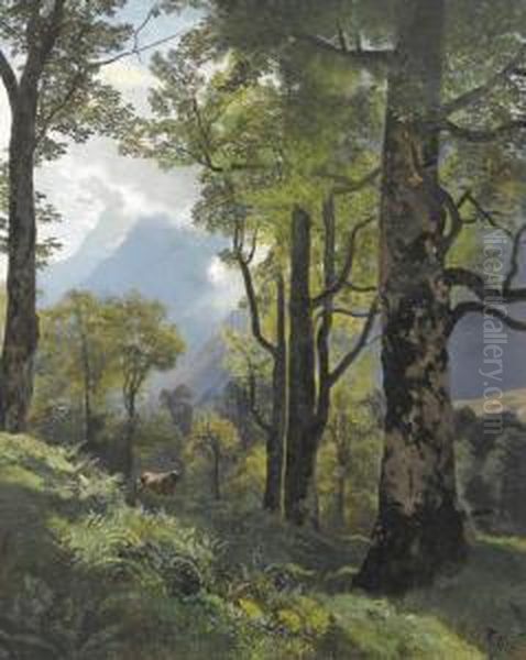 Gebirgspartie Mit Wald - view 1