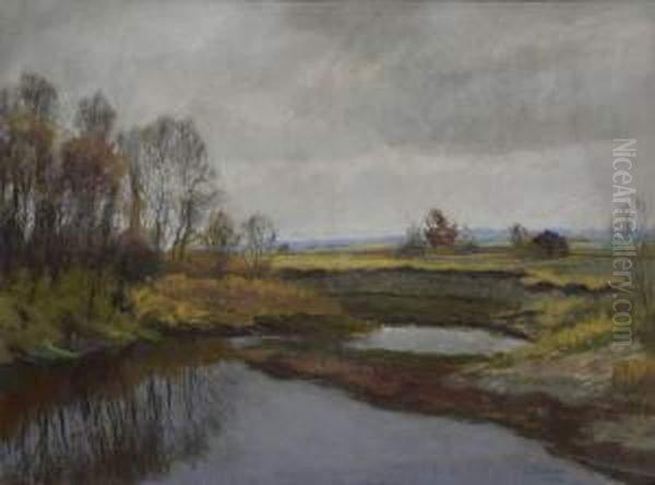 Moorlandschaft - view 1