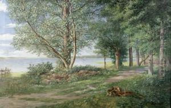 Landschaft An Der Elbe - view 1