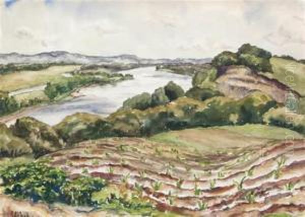 Rolling Hills - view 1