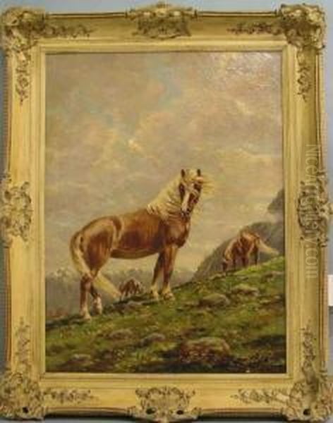 Haflinger Auf Der Hochalm - view 1