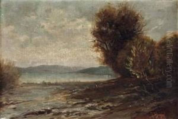 Seelandschaft - view 1