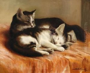 Twee Poesjes Op Sprei In Interieur by Joseph, Jos. Schippers