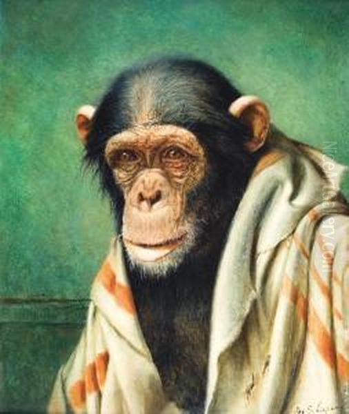 Dechimpansee - view 1