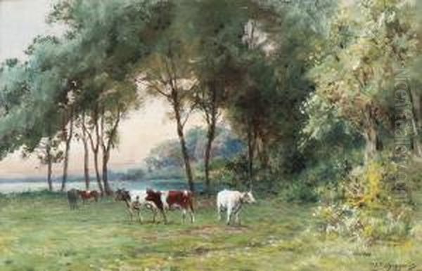 A Private Chat In The Forest - view 1