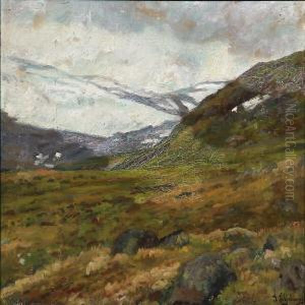Norwegian Mountain Landscape - view 1