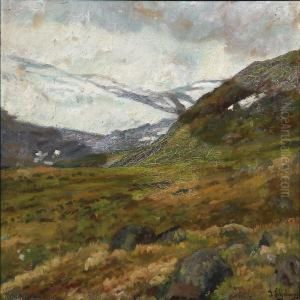 Norwegian Mountain Landscape
