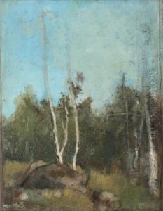 Landskap Med Bjorkar by Helene Schjerfbeck