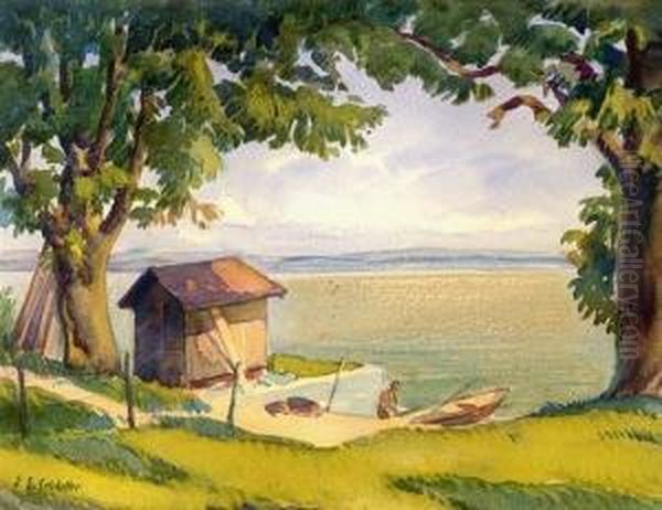 Uferpartie Am Bodensee - view 1