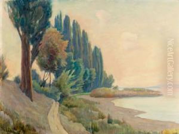 "strand Bei Bottighofen". - view 1