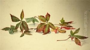 Herbstliche Blatter by August Friedrich Schlegel