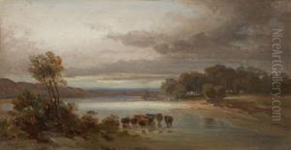 Landschaft Mit Rinderherde In Der Schwemme - view 1