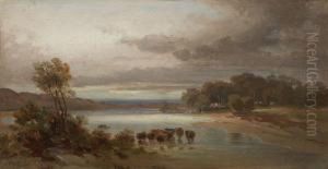 Landschaft Mit Rinderherde In Der Schwemme
