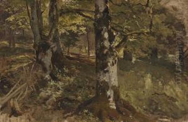 Waldlichtung - view 1