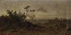 Waldlichtung Mit Rehen.