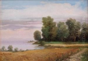 Feldweg Zum See by Robert Schleich