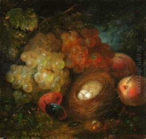Waldbodenstilleben Mit Fruchten Und Vogelnest