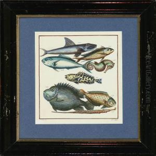 Two Plates With Fish - view 1
