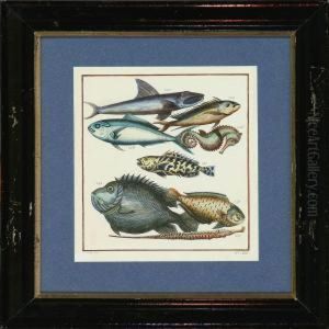 Two Plates With Fish by J.V. Schley