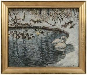 Ducks And Swans On Pond, Winter by Peter Schmauss