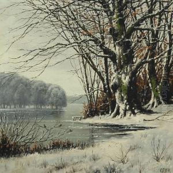 Winterscape From Fureso - view 1
