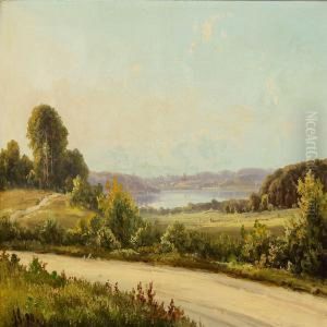 Danish Summerlandscape by Alexander Schmidt