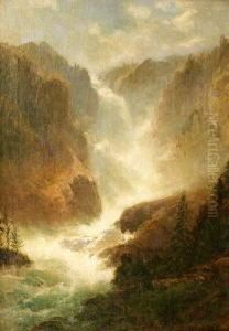 Tosender Wasserfall Im Gebirge Mit Baumstaffage
