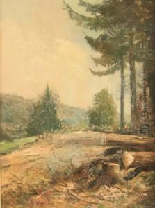 Waldrand Mit Nadelbaumen Und Schnittholz by Hermann Schmidtmann