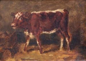 Stehendes Kalb by Wilhelm Schmitt