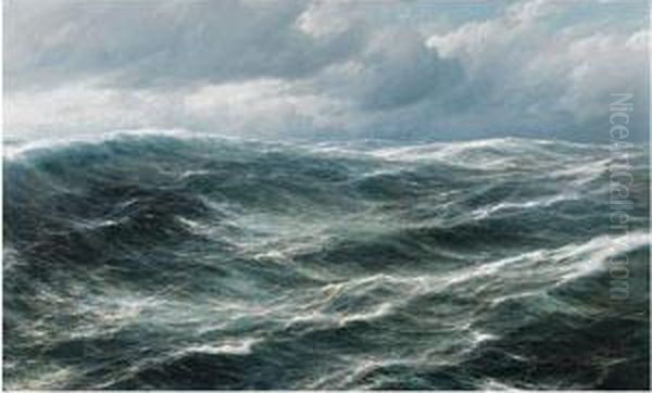 Marine - view 1