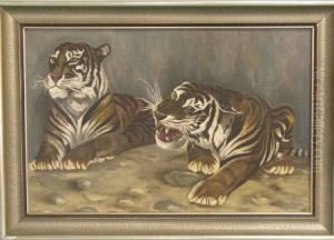 Zwei Liegende Tiger
