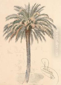 Palme by Alois Schonn