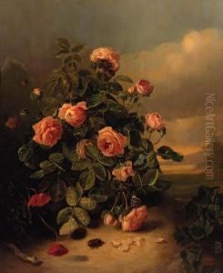 A Rosebush With Butterflies And A Dragonfly