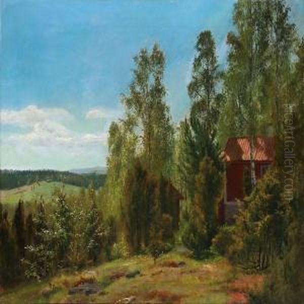 Swedish Landscape - view 1