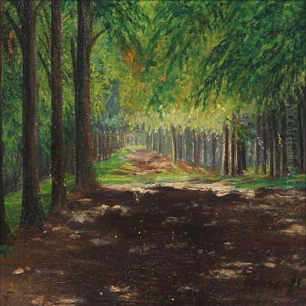 Forest - view 1