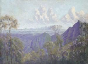 The Bay Of Rio De Janeiro From The Road To Petropolis