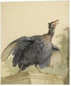A Guinea Fowl On A Ledge by Aert Schouman