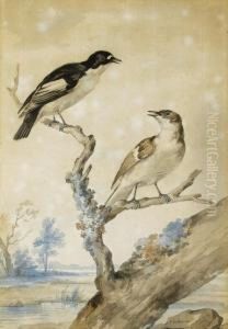 A Pair Of Pied Flycatchers by Aert Schouman