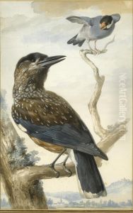 A Nutcracker And A Java Finch by Aert Schouman