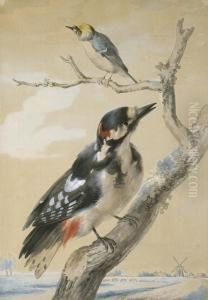 A Great Spotted Woodpecker And Another Small Bird by Aert Schouman