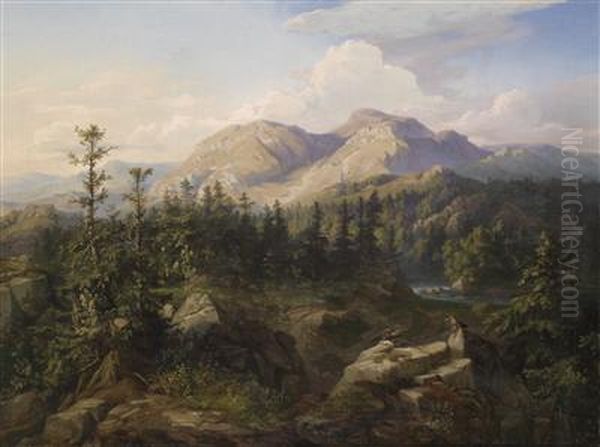 Scene From The High Tatra - view 1