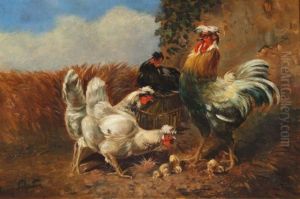 Cockerel And Chickens Outside Around A Nest