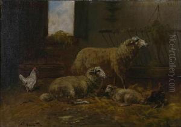 Schapen In De Stal - view 1
