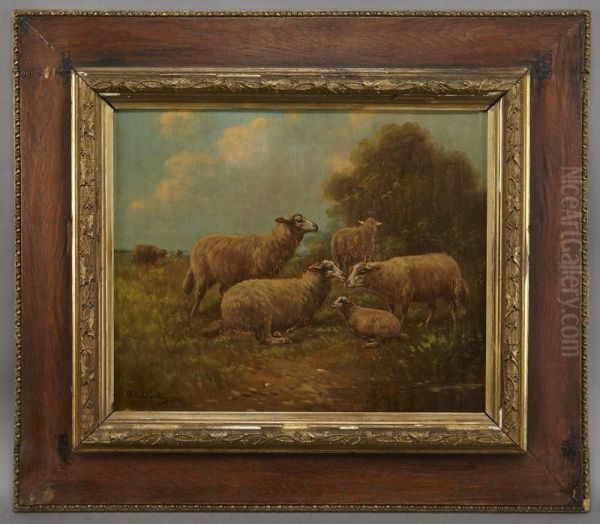 "sheep" - view 1