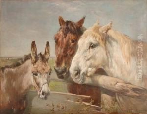 Chevaux Et Ane A La Barriere