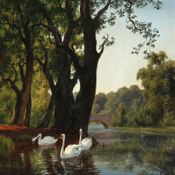 Summer Day With Swans At A Stream Shore - view 1