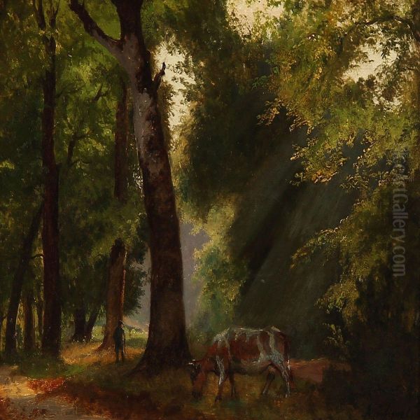 Forest Scene - view 1