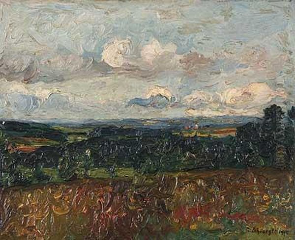 Expressive Sommerlandschaft - view 1