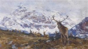 Herd Of Red Deer In The High Mountains by Rudolf Schramm-Zittau