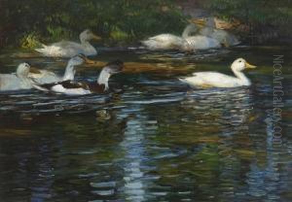 Enten Im Wasser. - view 1